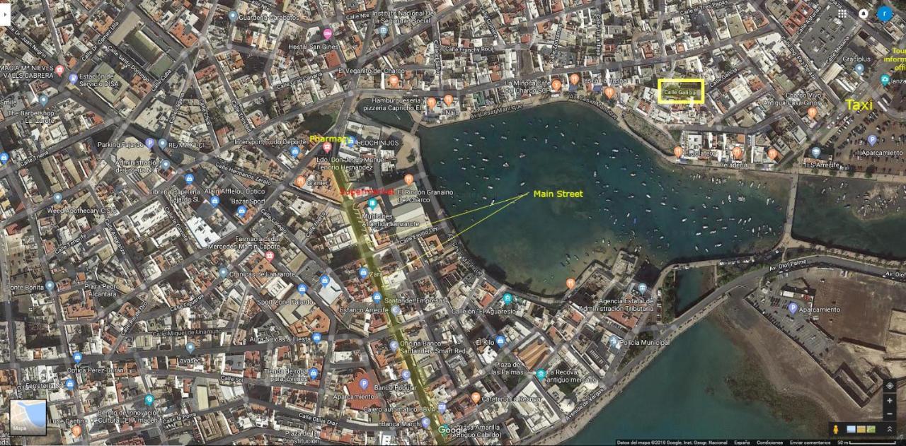 Estudio Del Pescado En El Charco أرّاثيفي المظهر الخارجي الصورة